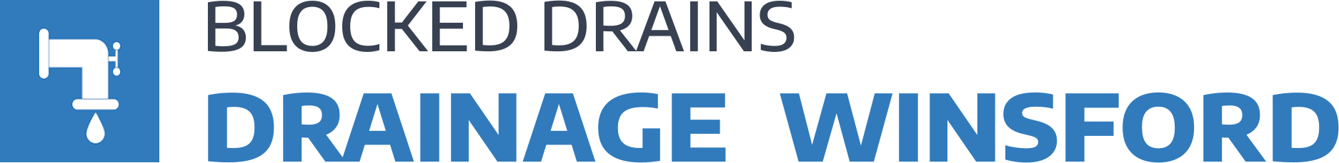 website logo